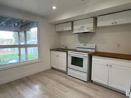 For Lease - 367 Silken Laumann Drive Unit# Bmnt, Newmarket, Ontario - Photo 3