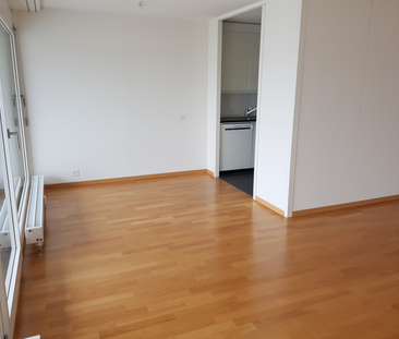 Wohnung mit schöner Aussicht zu vermieten - Photo 4