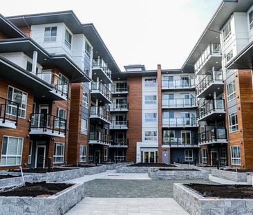 Modern Living in Urban Maple Ridge 1 Bdr & Den/1 Bath Condo - Photo 1