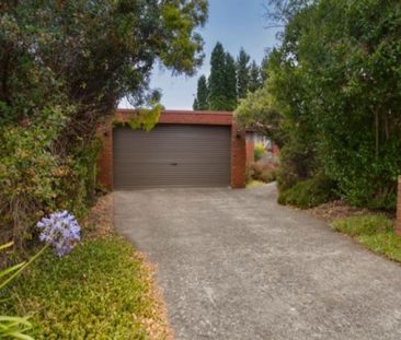 GREAT FAMILY HOME IN PRIME POSITION: Walk to Scoresby Village - Photo 6