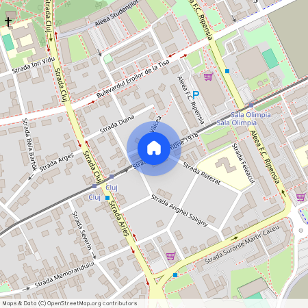 Timis, Timisoara