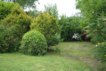 2 bedroom semi-detached bungalow to rent - Photo 5