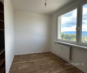 Pronájem bytu 3+1/L, sklep, po rekonstrukci - Fotografie 3