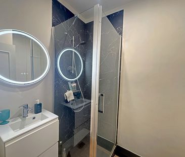 TOULOUSE - SAINT-ETIENNE - T1BIS rénové , climatisé, meublé Vue Cat... - Photo 2