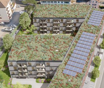 2 Zimmer, 55 m² - Foto 2