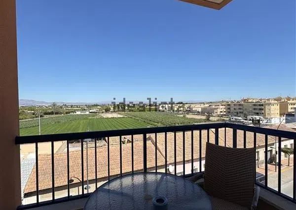 Alquiler de piso en Avenida de la Constitución