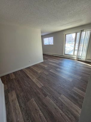 Mac Jo – 2 bedroom Renovated Unit - Photo 1