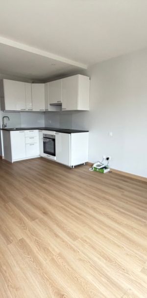 Magnifique 1 pièce 27.3m² à la Petite France - Photo 1