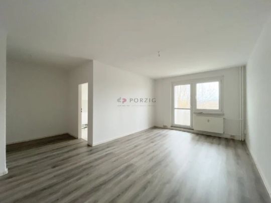 Große 2-Raum-Wohnung mit Südbalkon - Foto 1