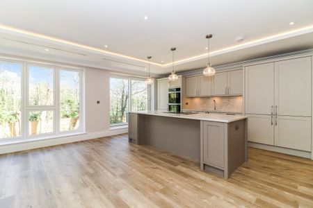 3 bedroom apartment to rent - Photo 4