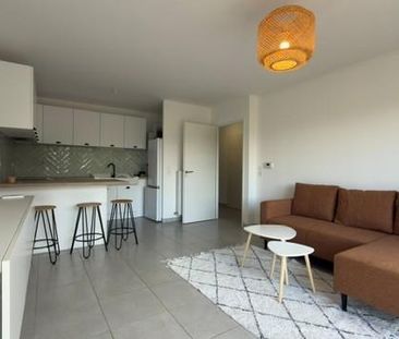 Location Appartement 2 pièces 45m² LE MUY 83490 - Photo 1