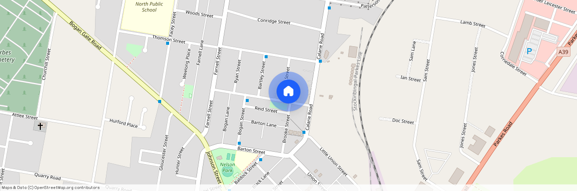 23 Abbott Street, NSW 2871, Forbes