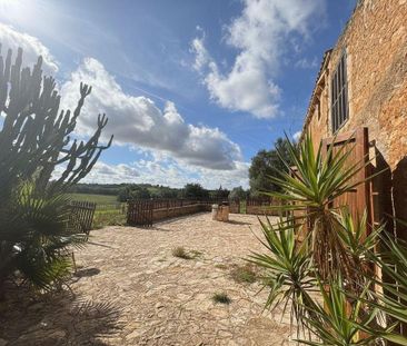 5 room luxury House for rent in Vilafranca de Bonany, Spain - Photo 5