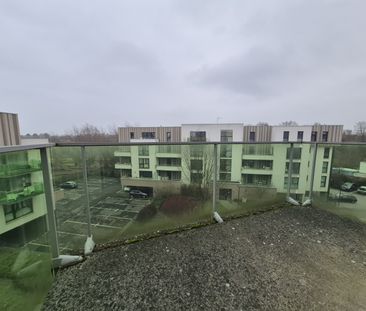 Location Appartement 2 pièces 45m² WAMBRECHIES 59118 - Photo 6