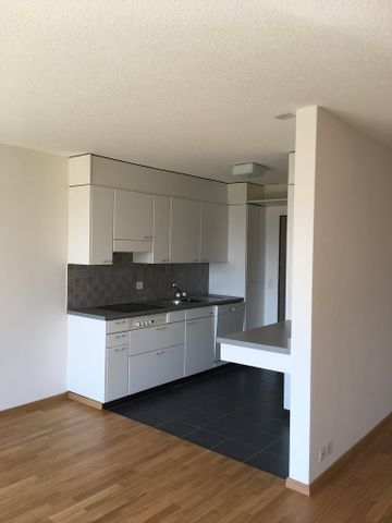 MIETEN OHNE KAUTION - Grosszügige Wohnung mit Blick auf den Zürichsee - Foto 2