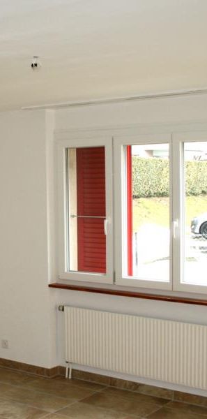 MASSONGEX - APPARTEMENT - Photo 2