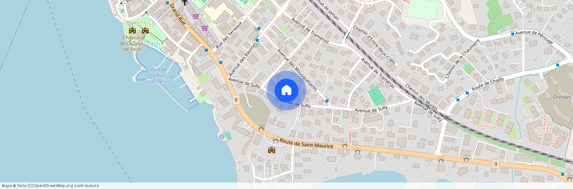 Avenue de Sully 29, 1814 La Tour-de-Peilz, VD