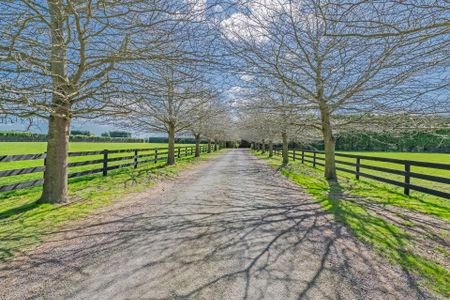 Rural paradise near Leeston - Photo 3