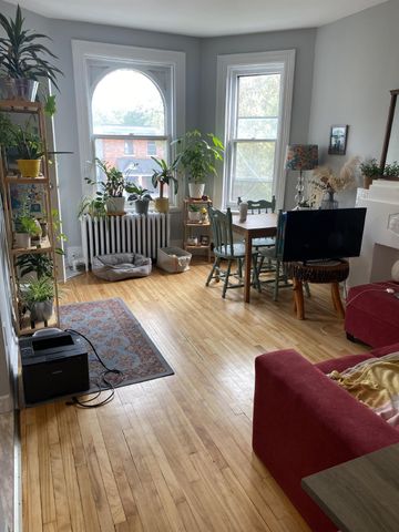 3 - 48 Sweetland Avenue - Photo 5