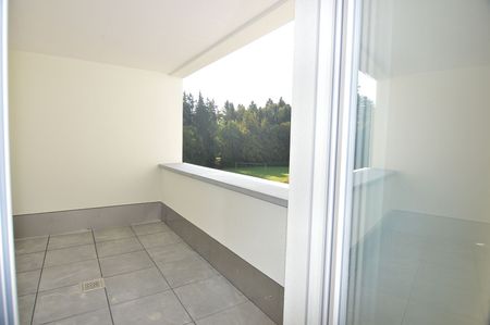 Traumhafte Attikawohnung in Frauenfeld - Photo 4