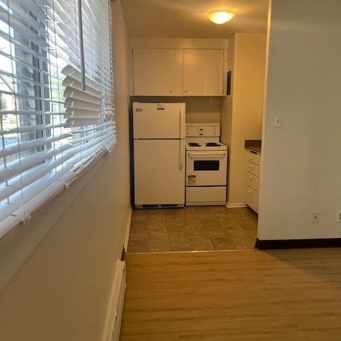 1 BDRM/1 BATH - 409 4TH AVE N - Available NOV 1 - Photo 1