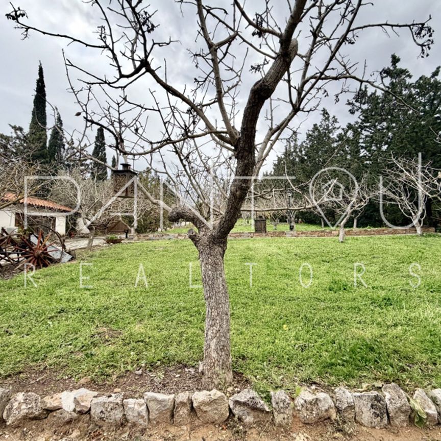 Ενοικίαση κατοικίας, 60 τ.μ., Δ. Κρωπίας, 650 € - Photo 1