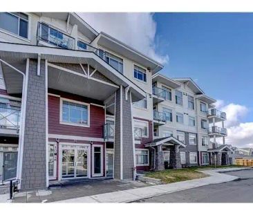 Luxury Top Floor Apartment-Condo Living just steps from South Health Campus — 2 Bedrooms+ Den Apartment - Photo 1
