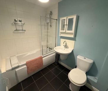 85 Birch Hill Meadows, Antrim, BT41 2TY - Photo 5