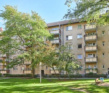 Sanierte Wohnung sucht Mitbewohner - Foto 1