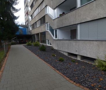 3 Zimmer, 60 m², 3. Stock - Photo 2