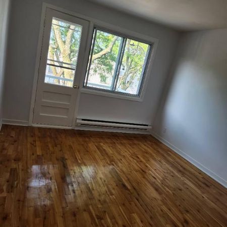4 1/2 Montreal Mercier Hochelaga Maisonneuve 1 juillet 2026 - Photo 4