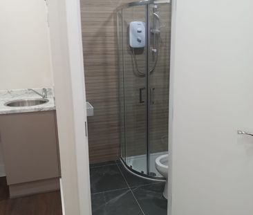 Studio Flat, Norwood Road, SE24 - Photo 4