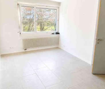 5 Zimmer, 153 m² - Photo 4