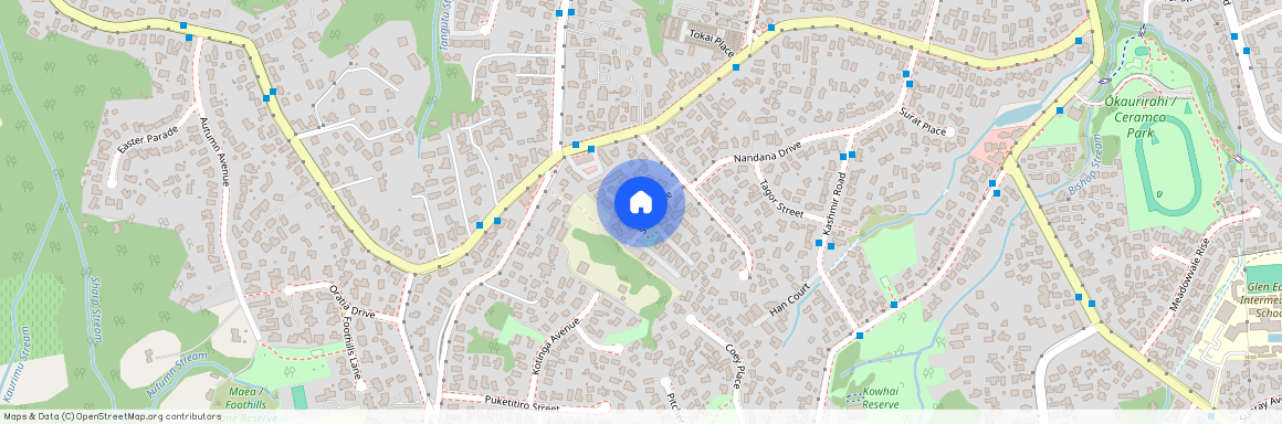 3 Shah Place, Glen Eden, Waitakere City