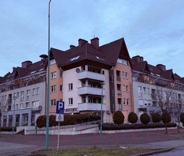 Sosnowiec, Centrum, Kilińskiego (1) Mieszkanie na wynajem - Zdjęcie 2