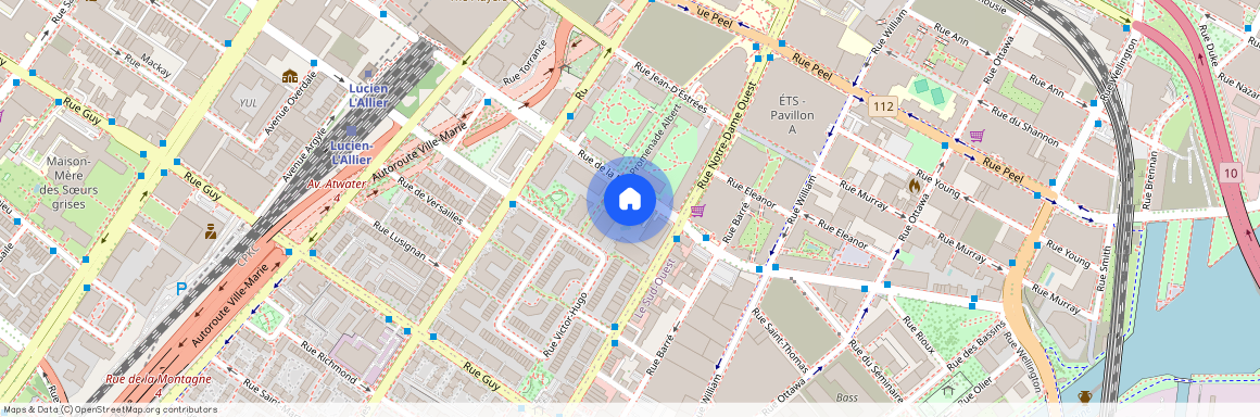 500 Rue de la Montagne, apt. 303, H3C4T6, Montréal (Ville-Marie)