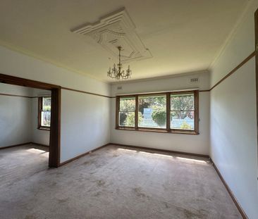 3 Finchaven Street, Herne Hill, Vic 3218 - Photo 4