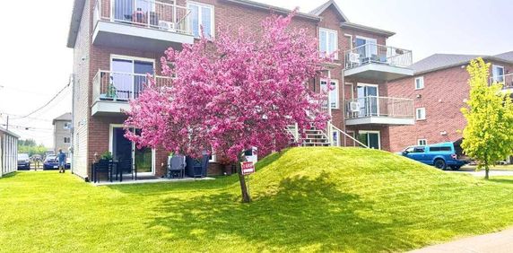 SUPERBE appartement style CONDO récent, grand 4 1/2 (1005 p.c.), dans un environnement paisible et très recherché, à seulement 9 ms de Québec. - Photo 2