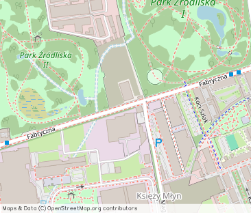 Kawalerka, Łódź- Centrum, po remoncie, do wynajmu - Фото 1