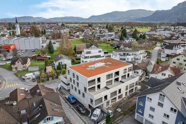 Oberdorfstrasse, 9444 Diepoldsau - Foto 1