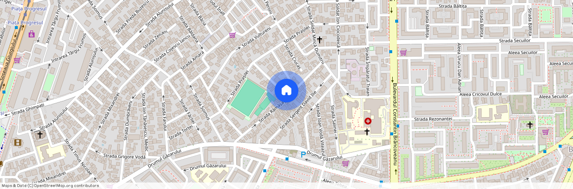 Bucuresti-Ilfov, Bucuresti