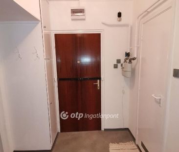 belterület, Békés, 5600, Békéscsaba - Fotó 6