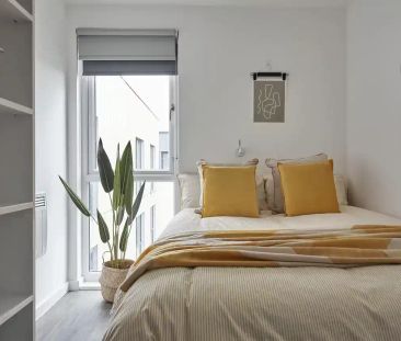 3 Bed Standard Ensuite - Photo 6
