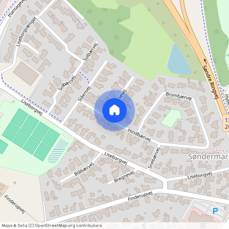 Hindbærvej 20, 8800, Viborg