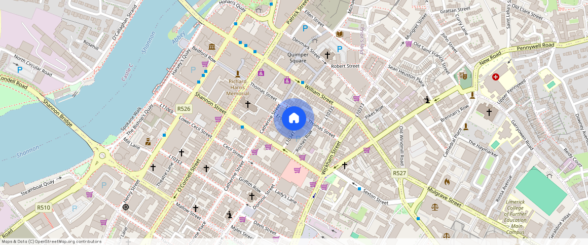 Newtown House, Limerick City Centre, Co. Limerick