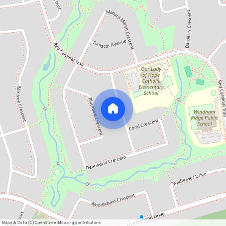 30 Deerwood Crescent Unit# lower, Richmond Hill