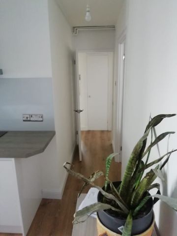 Room in a Shared Flat, Rolls Road, SE1 - Photo 4