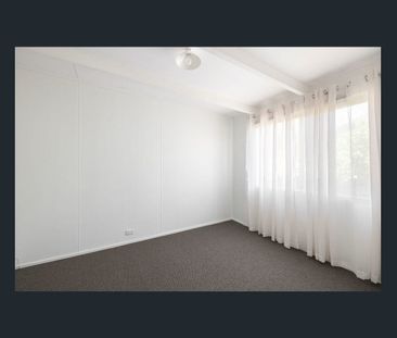 Light-Filled Elevated Home with Leafy Outlook - Photo 3