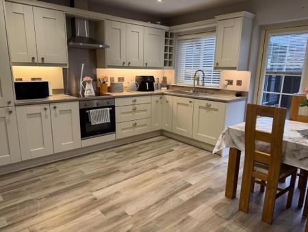 17 Riverglade Meadows, Lurgan, Craigavon, BT66 8FE - Photo 4