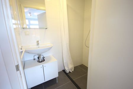 Te huur: Appartement Hendrik Mandestraat in Den Haag - Foto 5